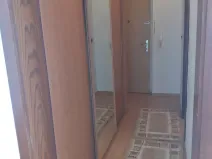 Pronájem bytu 1+1, Ostrava, Dr. Martínka, 37 m2