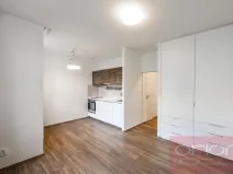 Pronájem bytu 1+kk, Praha - Vinohrady, Lucemburská, 30 m2