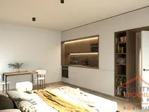 Prodej bytu 1+kk, Hradec Králové, Pod Zámečkem, 30 m2
