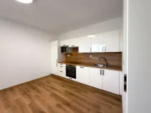 Pronájem bytu 2+kk, České Budějovice - České Budějovice 2, K. Chocholy, 42 m2