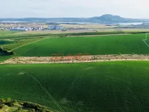 Prodej pole, Hustopeče, 3735 m2