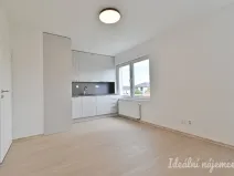 Pronájem bytu 2+kk, Brno - Slatina, Kobylnická, 34 m2