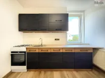 Pronájem bytu 2+1, Háj u Duchcova, Kubátova, 45 m2