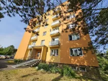 Pronájem bytu 1+1, Plzeň, Lazaretní, 45 m2