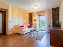 Prodej bytu 2+kk, Plzeň - Jižní Předměstí, U Borského parku, 52 m2