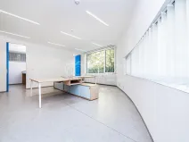 Pronájem obchodního prostoru, Praha - Žižkov, Jeseniova, 240 m2