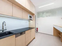 Pronájem obchodního prostoru, Praha - Žižkov, Jeseniova, 240 m2