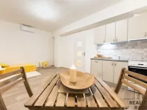 Pronájem bytu 1+kk, Ostrava - Polanka nad Odrou, Hraničky, 27 m2