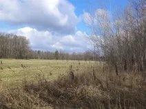 Prodej pozemku, Lužnice, 971 m2