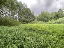 Prodej louky, Nové Hrady - Štiptoň, 6751 m2