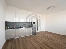 Pronájem bytu 1+kk, Hradec Králové, Průmyslová, 35 m2