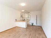 Pronájem bytu 1+kk, Hradec Králové, Selicharova, 30 m2
