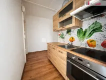 Prodej bytu 1+1, Jirkov, Alešova, 39 m2