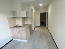 Pronájem bytu 1+kk, Praha - Hlubočepy, Na Zlíchově, 18 m2