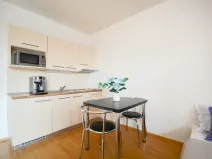Pronájem bytu 1+kk, Brno, Božetěchova, 32 m2
