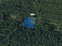 Dražba lesa, Břežany, 1701 m2