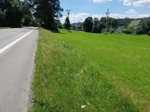 Prodej komerčního pozemku, Dlouhá Třebová, 6780 m2