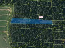 Dražba lesa, Břežany, 2070 m2