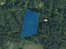 Dražba lesa, Zvěstov, 3010 m2