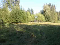 Dražba louky, Roztoky u Semil, 496 m2