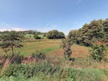 Prodej louky, Oslavička, 5986 m2