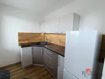 Pronájem bytu 1+1, Opava - Předměstí, Mařádkova, 25 m2