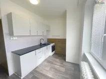 Prodej bytu 2+1, Most, Maxe Švabinského, 55 m2
