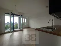 Pronájem bytu 1+kk, Praha - Žižkov, Olgy Havlové, 37 m2