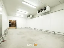 Pronájem výrobních prostor, Tištín, 3100 m2