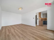 Prodej bytu 2+1, Plzeň - Doudlevce, 58 m2