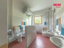 Pronájem komerční nemovitosti, Zdiby - Přemyšlení, U Továrny, 175 m2