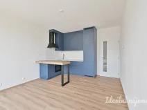 Pronájem bytu 2+kk, Brno, Rybářská, 52 m2