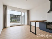Pronájem bytu 2+kk, Brno, Rybářská, 52 m2