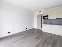 Pronájem bytu 1+kk, Praha - Hlubočepy, Na Zlíchově, 26 m2