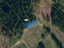 Dražba lesa, Řečice, 350 m2