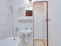 Pronájem bytu 1+1, Olomouc, Lazecká, 33 m2