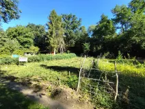 Prodej zahrady, Mšeno, 410 m2