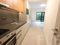 Pronájem bytu 1+kk, Praha - Žižkov, Hartigova, 48 m2