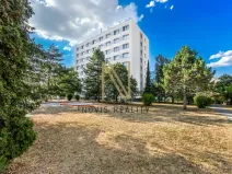 Pronájem bytu 1+kk, Plzeň, Čermákova, 22 m2
