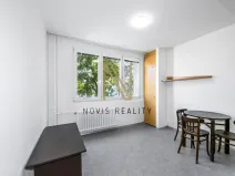 Pronájem bytu 1+kk, Plzeň, Čermákova, 22 m2