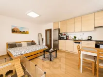 Pronájem bytu 1+kk, Slavkov u Brna, 31 m2