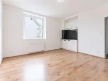 Pronájem bytu 1+kk, Praha - Břevnov, Na břevnovské pláni, 22 m2