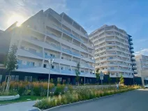 Pronájem bytu 1+kk, Brno, Komárovská, 33 m2