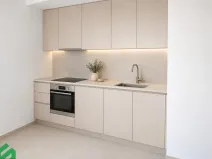 Pronájem bytu 1+kk, Praha - Libeň, Na Truhlářce, 30 m2