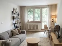 Pronájem bytu 1+kk, Ostrava, Gen. Píky, 29 m2