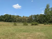 Prodej zahrady, Bukovec, 863 m2