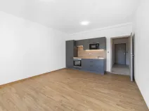 Pronájem bytu 1+kk, Zruč-Senec, Sportovní, 29 m2