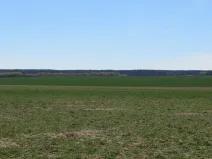 Dražba pole, Běrunice, 15140 m2
