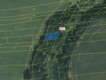 Dražba lesa, Dražice, 316 m2