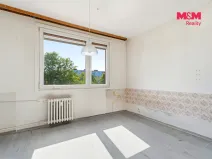 Prodej bytu 1+1, Ústí nad Labem - Severní Terasa, Švestková, 36 m2